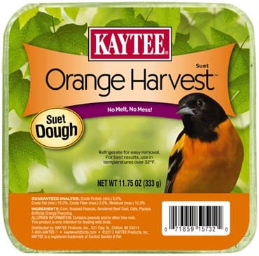Kaytee 11.75oz Orange Harvest Suet Dough — photo 1 of 2
