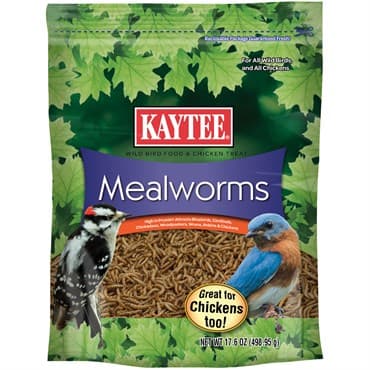 Kaytee 17.6oz Mealworm Food Pouch for Wild Birds — photo 1 of 2