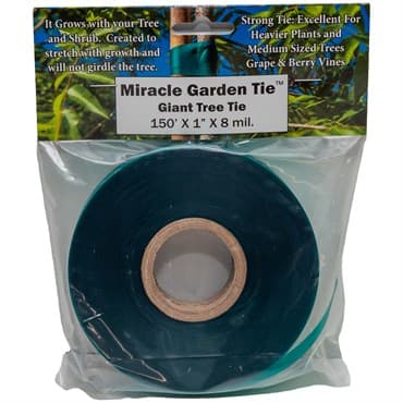 LE Cooke 1" x 150' Giant Miracle Garden Tie Tape .008 mil Green Retail Pack — photo 1 of 2