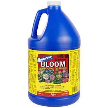 Liquinox 1gal Bloom — photo 1 of 2