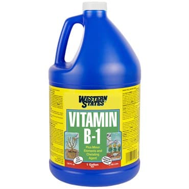 Western States 1gal B-1 — photo 1 of 2