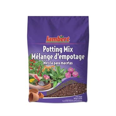 Lambert 4qt All Purpose Potting Mix 12/CS — photo 1 of 2