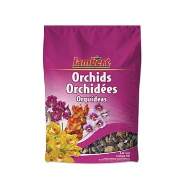 Lambert 4qt Orchid Mix 12/CS — photo 1 of 2