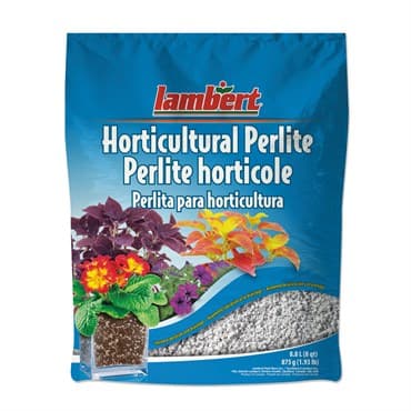 Lambert 8qt Hort Perlite 6/CS — photo 1 of 2