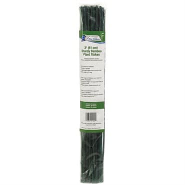 Gardener's Blue Ribbon 25pk 2' Bamboo 4-6mm Green — photo 1 of 2