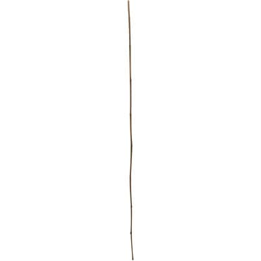 Gardener's Blue Ribbon 5'x1" Super Bamboo Stakes Bulk — photo 1 of 2