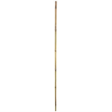 Gardener's Blue Ribbon Bulk 6'x1" Super Bamboo — photo 1 of 2