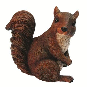 MCarr Squirrel — photo 1 of 2