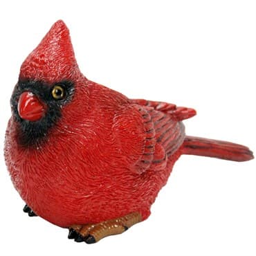 MCarr Small Cardinal — photo 1 of 2