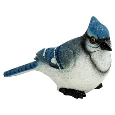 MCarr Small Blue Jay — photo 1 of 2