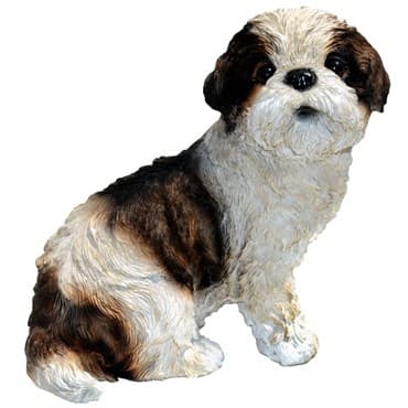 MCarr 9" Shih Tzu Puppy — photo 1 of 2