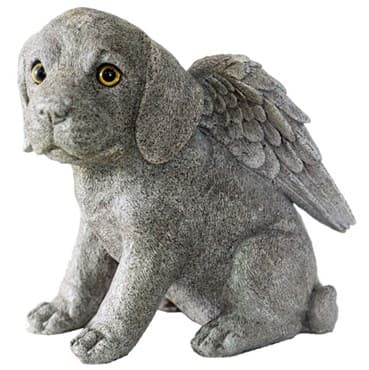 MCarr Stone Guardian Puppy — photo 1 of 2