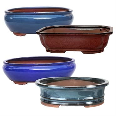 MCarr 4PC 12" Bonsai Planter Set Mixed Colors — photo 1 of 2