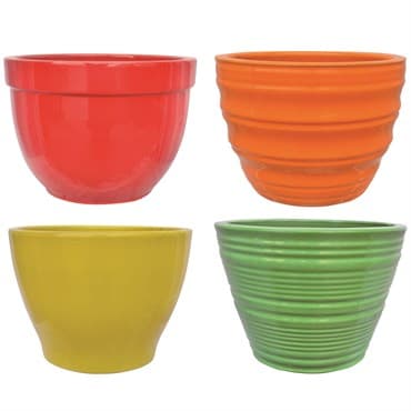 MCarr 144pc Mix Planter Pallet Mixed Colors — photo 1 of 2