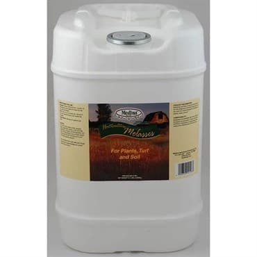 Medina 5gal Molasses — photo 1 of 2