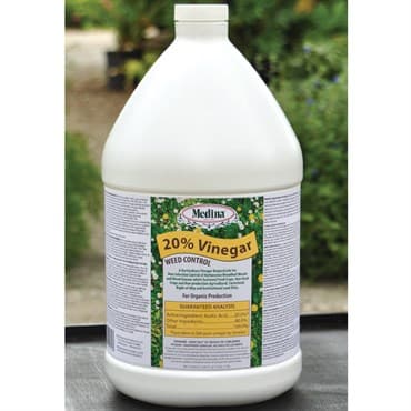 Medina 1gal 20% Vinegar 4/CS — photo 1 of 2