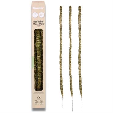 Mossify 42" 3pk Bendable Moss Poles Thin — photo 1 of 2