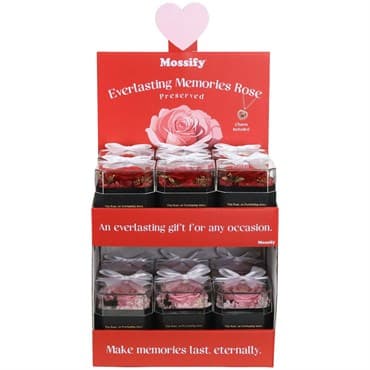 Mossify 12pc Preserved Rose Counter Display — photo 1 of 2
