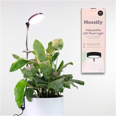 Mossify 28" Adjustable LED Plant Light Black — photo 1 of 2