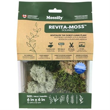 Mossify Revita-Moss Mixed Pack — photo 1 of 2