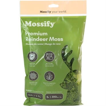 Mossify 100g Reindeer Moss Pistachio — photo 1 of 2