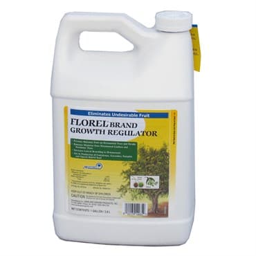Monterey Florel East 1Gl 4/CS — photo 1 of 2