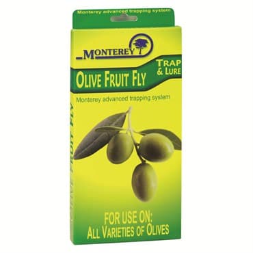Monterey Olive Fruit Fly Trap and Lure — photo 1 of 2