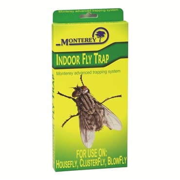 Monterey Indoor Fly Trap — photo 1 of 2