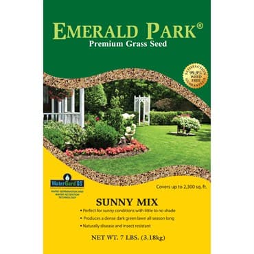 Emerald Park 7# Sunny — photo 1 of 2