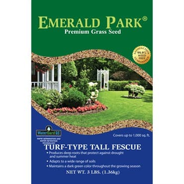 Emerald Park 3# Turf Type Fescue — photo 1 of 2