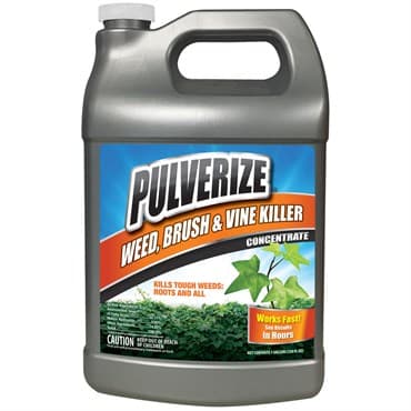 Pulverize 1gal Weed Brush & Vine Killer Liquid Concentrate — photo 1 of 2