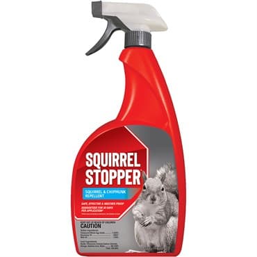 Squirrel Stopper 32oz Repellent Trigger Bottle Ready to Use — photo 1 of 2