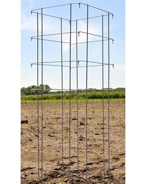 Midwest Wire Works 58" Heavy Duty Square Cage — photo 1 of 2