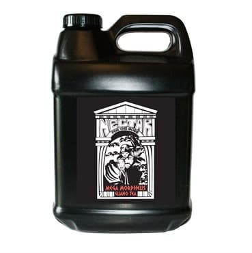 Nectar for the Gods 2.5 Gallons Mega Morpheus — photo 1 of 2