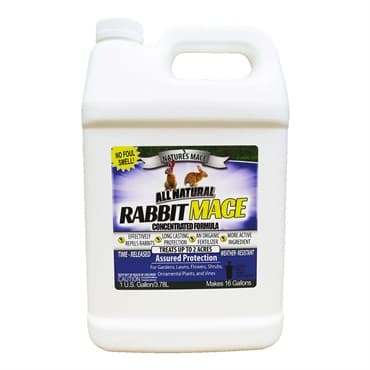 Nature's Mace 1gal Rabbit Repellent Concentrate — photo 1 of 2