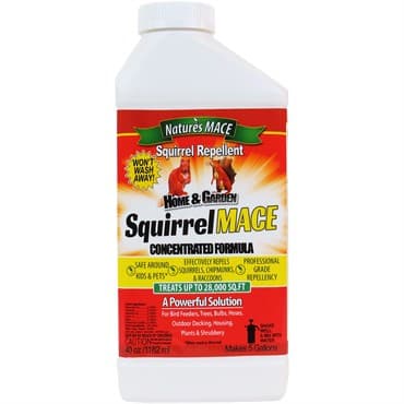 Nature's Mace 40oz Squirrel Repellent Concentrate — photo 1 of 2