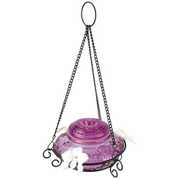 Natures Way 14oz Antique Glass Top-Fill Hummingbird Feeder Plum — photo 1 of 2