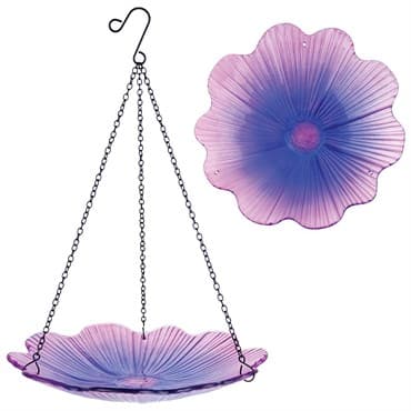 Natures Way 11in EcoCycle Hanging Birdbath Violet Begonia — photo 1 of 2