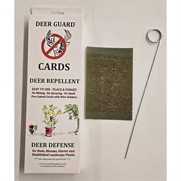 Olson 12ct 4in x 6in Stiky Deer Cards with Wire Holders — photo 1 of 2