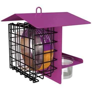 Wild Bird Lovers PB&J Feeder Glass Jar & Jelly Cups — photo 1 of 2