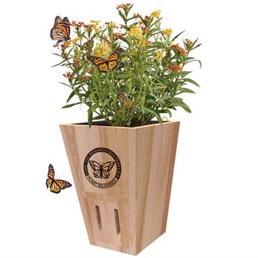 Woodlink Butterfly Shelter with Wood Planter — photo 1 of 2