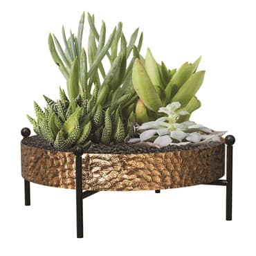 Panacea 10" Succulent Tray with Stand Hammered Copper Finsh — photo 1 of 2