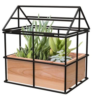 Panacea Wood/Wire No Glass Terrarium Planter — photo 1 of 2