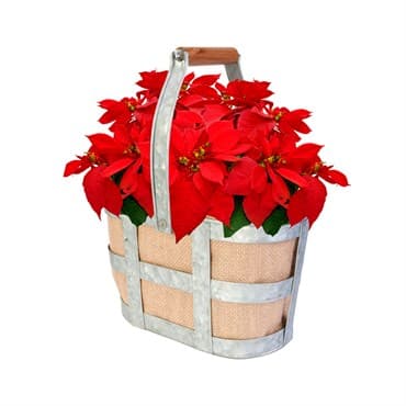Panacea 2 Wine Bottle Burlap Caddy — photo 1 of 2