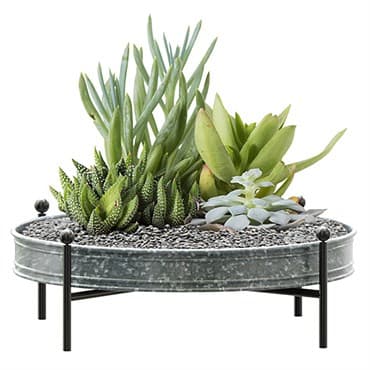 Panacea 16" Succulent Planter Tray Galvanized — photo 1 of 2