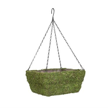 Panacea 13" Moss Square Hanging Basket — photo 1 of 2