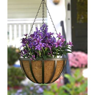 Panacea 14" English Hanging Basket W/ Coco Liner — photo 1 of 2