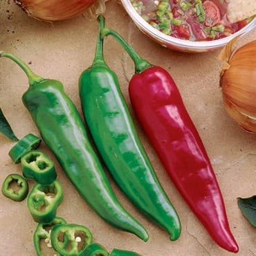 Peppers, Garden Salsa Hybrid Treated 100 Seed Count — photo 1 of 2