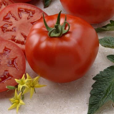 Tomato, Better Boy Treated 100 Seed Count — photo 1 of 2