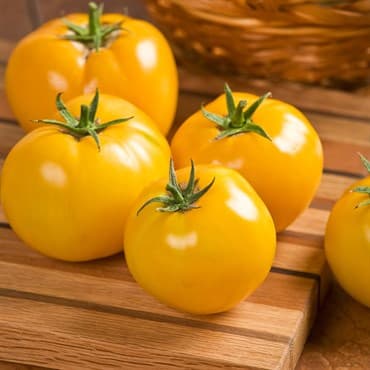 Tomato, Lemon Boy Hybrid Treated 100 Seed Count — photo 1 of 2